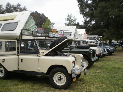 P4130009 (800x600).jpg